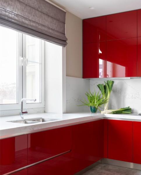 Design of a red kitchen