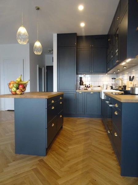 modern design of the blue kitchen